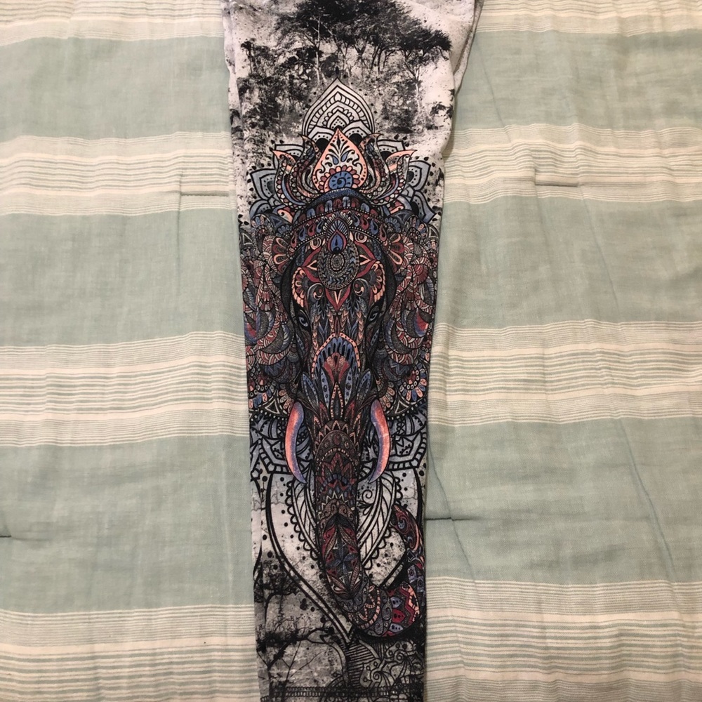 Evolution and creation - Picture 4 of 4
